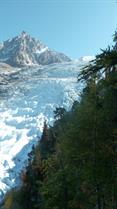 10 Bossons sur fond d'aiguille 10 Bossons sur fond d'aiguille
